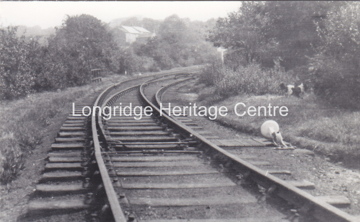 353C - Railway - Looking up the line towards Lords Delph - 1932